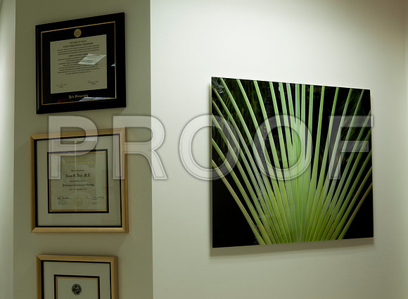 4937_DG_Dr_Amos_Clinic_Instalation_West_Palm_Beach_FL_2010_IMG_0064