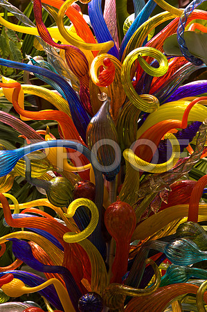 84775_DSC_0004_Fairchild_Garden_Miami_FL_USA