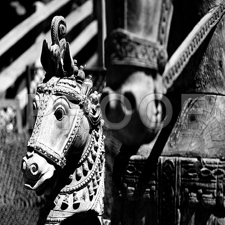 B3P1_7687_8_Horse