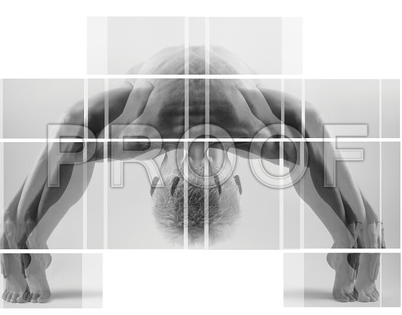 Screen Shot_overlaped_image 2014-03-01 at 6.36.12 AM