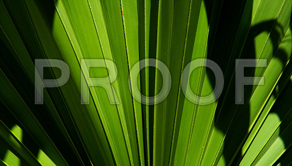 ZV4N3508 copy