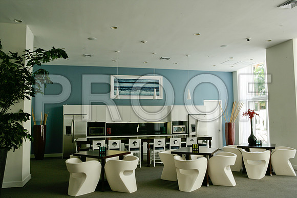 ZV4N9415Related_Art_Work_Install_St_Regis_Demolition_20071024