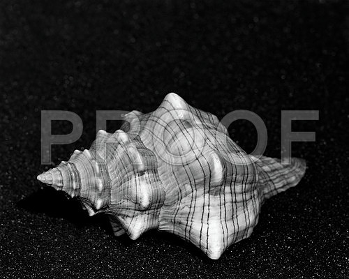 Untitled_42467_A
