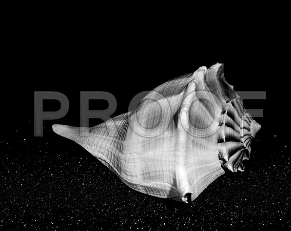 Untitled_42432_B-copy