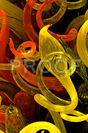 84775_DSC_0117_Fairchild_Garden_Miami_FL_USA