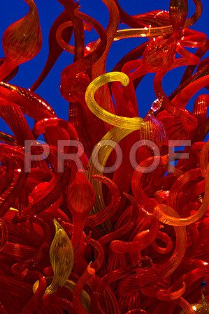 84775_DSC_0116_Fairchild_Garden_Miami_FL_USA