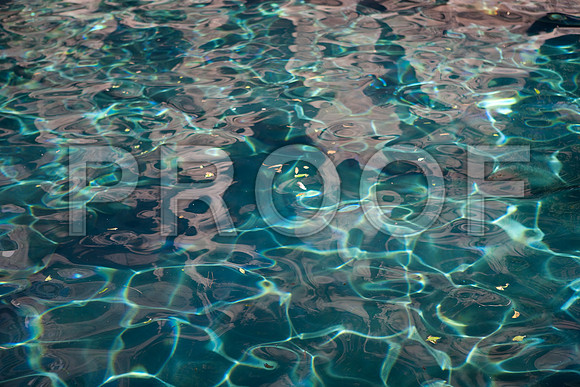 20080913_DVD50_DG_USA_Vegas_CA_5L8Y9437_full_blead