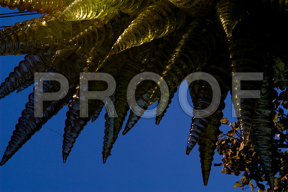 84775_DSC_0079_Fairchild_Garden_Miami_FL_USA