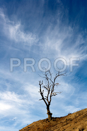 Los_Angeles_CA_2007_ZV4N0590