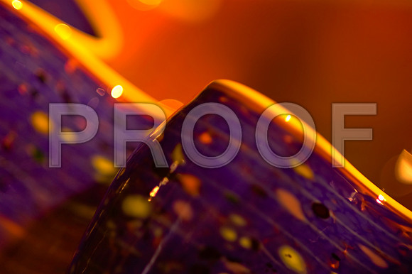 84775_DSC_0052_Fairchild_Garden_Miami_FL_USA