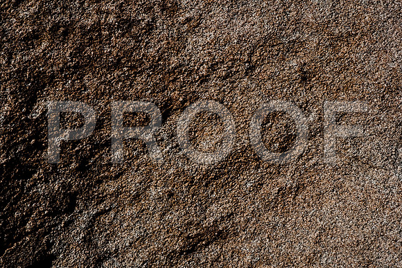 06646_DG_COLOR_JOSHUA_TREE_NAT_PARK_29_PALMS_CALIFORNIA_CA_USA_2007_ZV4N_453