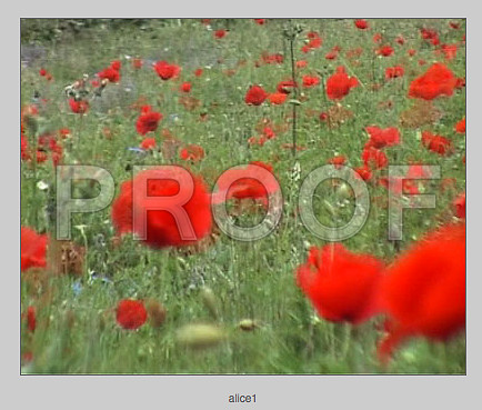 Screen Shot 2014-07-27 at 6.05.08 PM