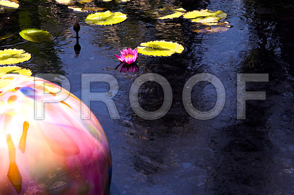 84775_DSC_0095_Fairchild_Garden_Miami_FL_USA