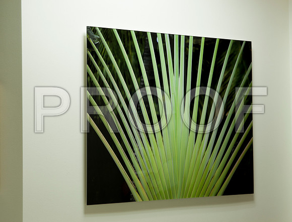 4937_DG_Dr_Amos_Clinic_Instalation_West_Palm_Beach_FL_2010_IMG_0065
