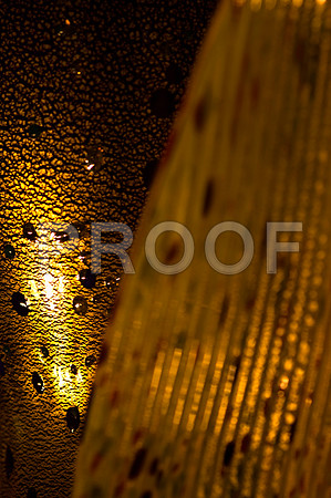 84775_DSC_0047_Fairchild_Garden_Miami_FL_USA