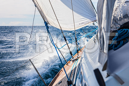iStock_000020754099XSmall
