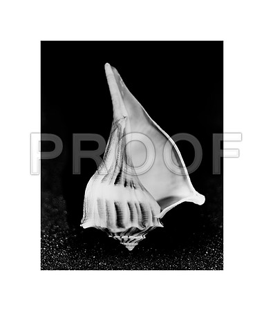 42432_D3_25_3_827_Wht 3