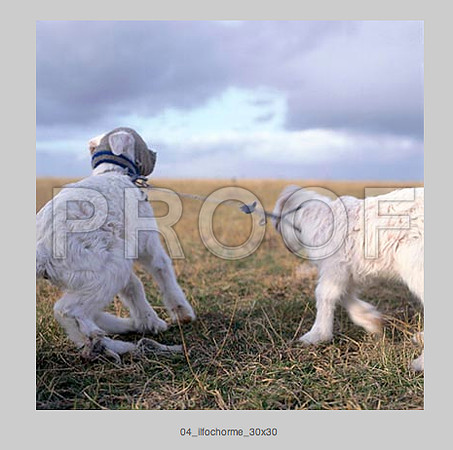 Screen Shot 2014-07-20 at 4.40.43 PM