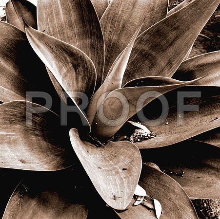 001_full_blead copy
