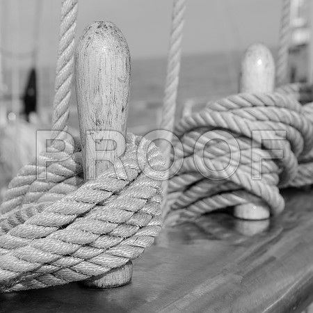 sh_139894597