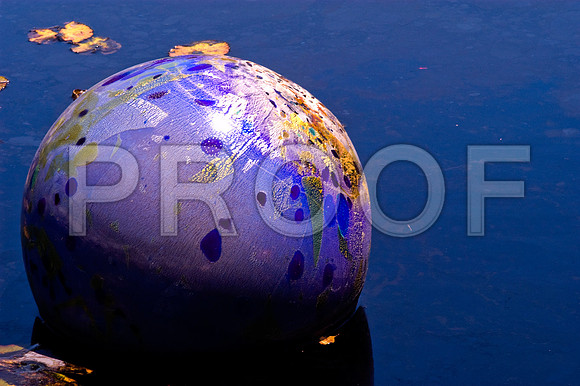 84775_DSC_0106_Fairchild_Garden_Miami_FL_USA