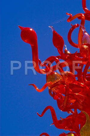 84775_DSC_0115_Fairchild_Garden_Miami_FL_USA