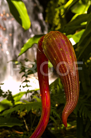 84775_DSC_0025_Fairchild_Garden_Miami_FL_USA