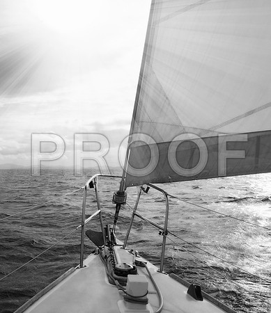 sh_130257146
