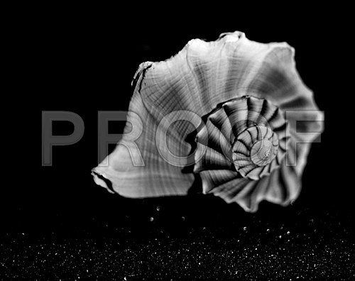 Untitled_42433_B-copy