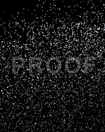 20140716_STT_24X30_172371638