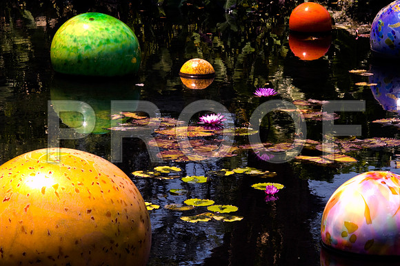 84775_DSC_0099_Fairchild_Garden_Miami_FL_USA