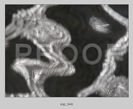 Screen Shot 2014-07-20 at 5.40.26 PM