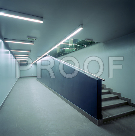 shutterstock_9025513