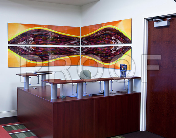 4937_DG_Dr_Amos_Clinic_Instalation_West_Palm_Beach_FL_2010_IMG_0085