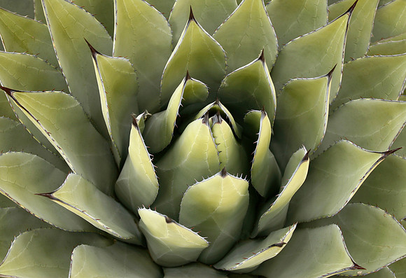 20111101_SSK_65703811
