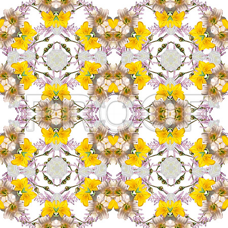 20140817_sk_116488489