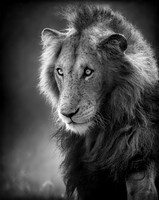 20150301_IMGSK1108967517
