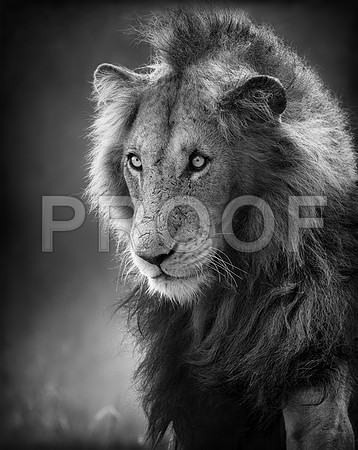 20150301_IMGSK1108967517