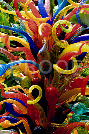 DSC_0004P_full_blead