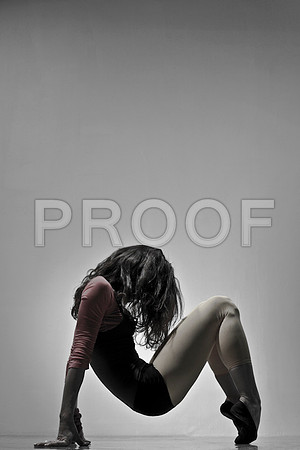 20101129_STT_Custom_13027756-2