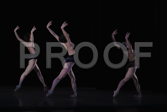 7025_DG_VISCERA_Liam_Scarletts_Miami_City_Ballet_FL_AL1B0148_DxO