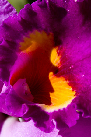 Fairchild_Garden_011_05-2