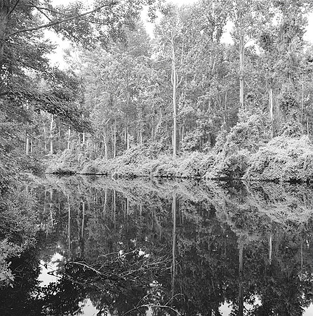 7701_5_SAVANA_GA_04