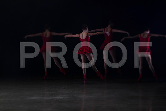 7005_DG_Broward_Art_Center_Ballet_MCB_FL_AL1B7760 copy
