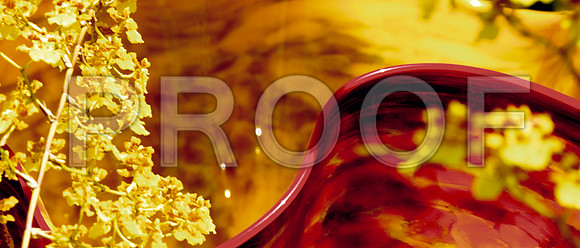 DSC_0013_Chihuly_Fairchild_FL_20060907