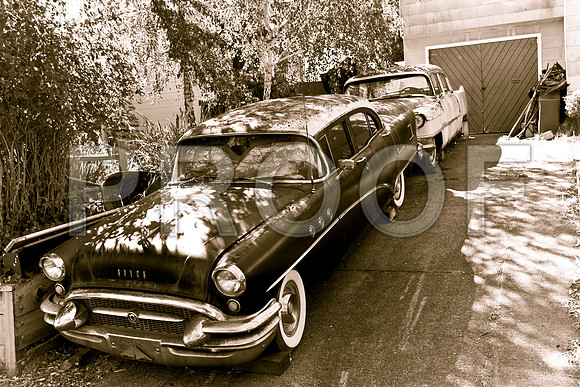 0024_DG_Corta_Madera_CA_USA_20095L8Y0263