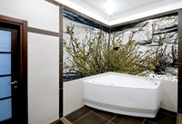 STK_SHOWROOM_28504156_1