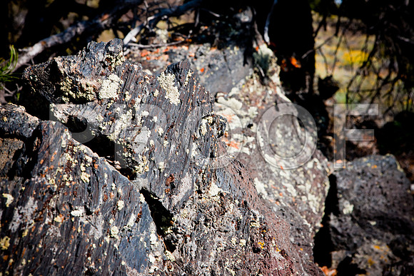 0020_Wyonming_To_Ketchem_Sun_Valley_ID_5L8Y7811