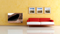 SHOWROOM_STK_32307931_1