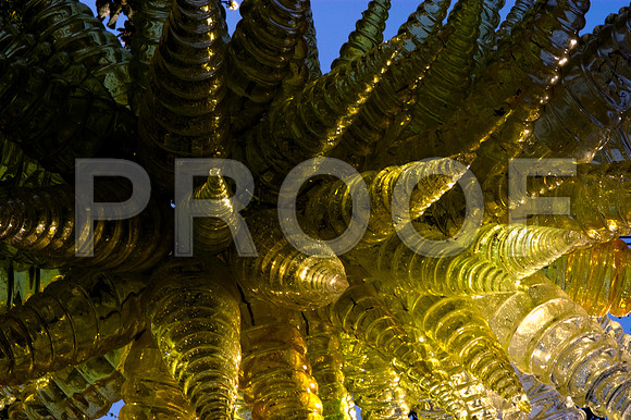 84775_DSC_0078_Fairchild_Garden_Miami_FL_USA